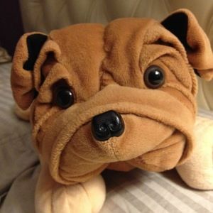 Meet your Posher, Xiang